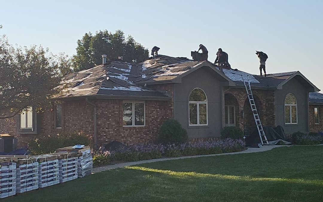 Quality Roofing Services to Protect Your Home Year-Round