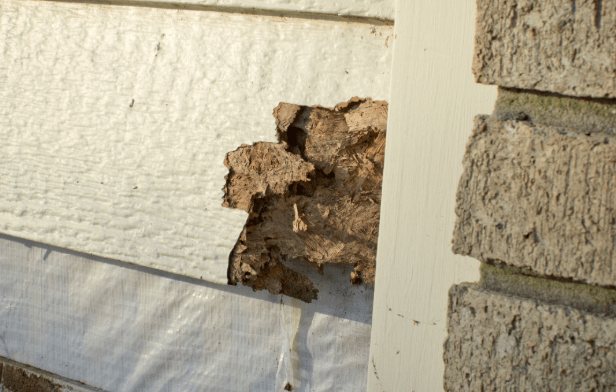 How Much Does It Cost To Repair A Piece Of Siding?